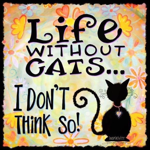 Meet your Posher, JeanMarie - Picture 9 of 10